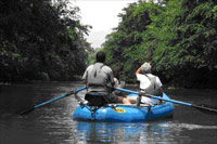 Safari en bote sobre el Río Peñas Blancas